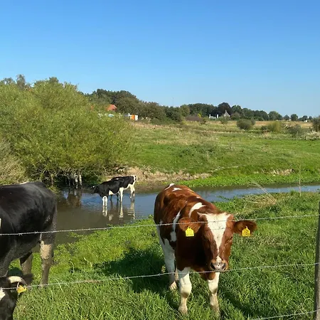 Containerwoning Op Schitterende Locatie Milsbeek