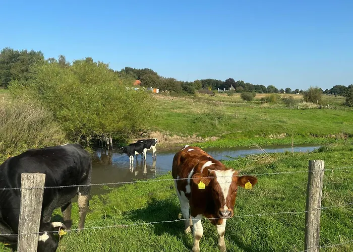 Containerwoning Op Schitterende Locatie Milsbeek
